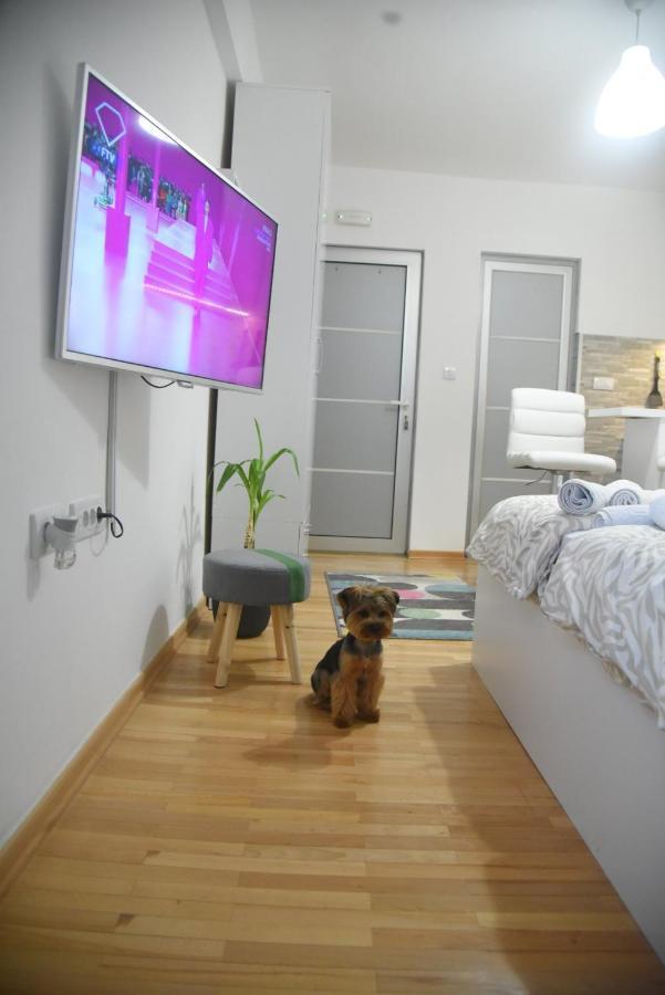 Ni Dekart 2 Apartment מראה חיצוני תמונה